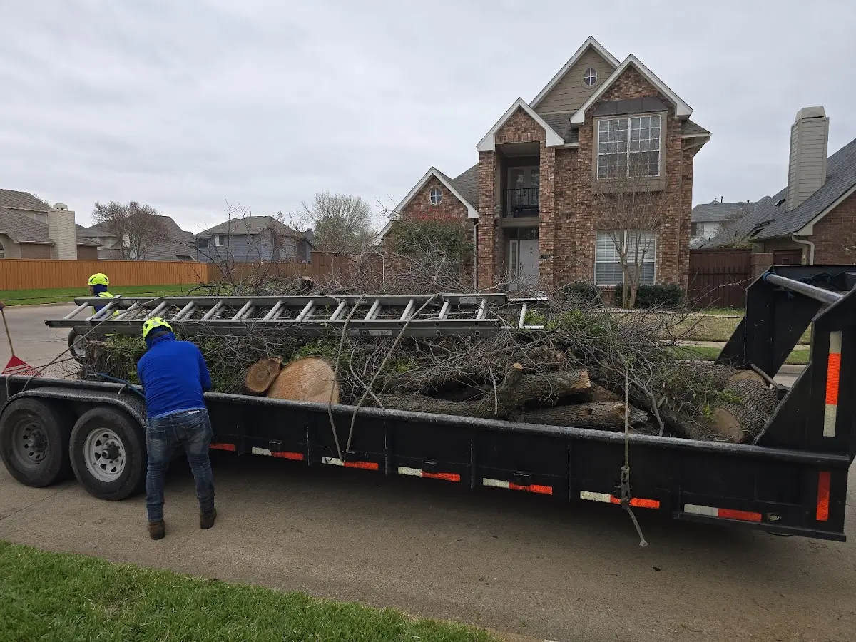 Expert Tree Fertilization with proper safety equipment in Ijamsville